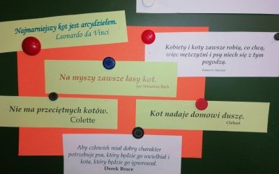Dzień Kota w bibliotece