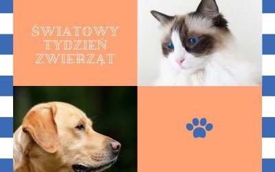 Światowy Tydzień Zwierząt w naszej szkole