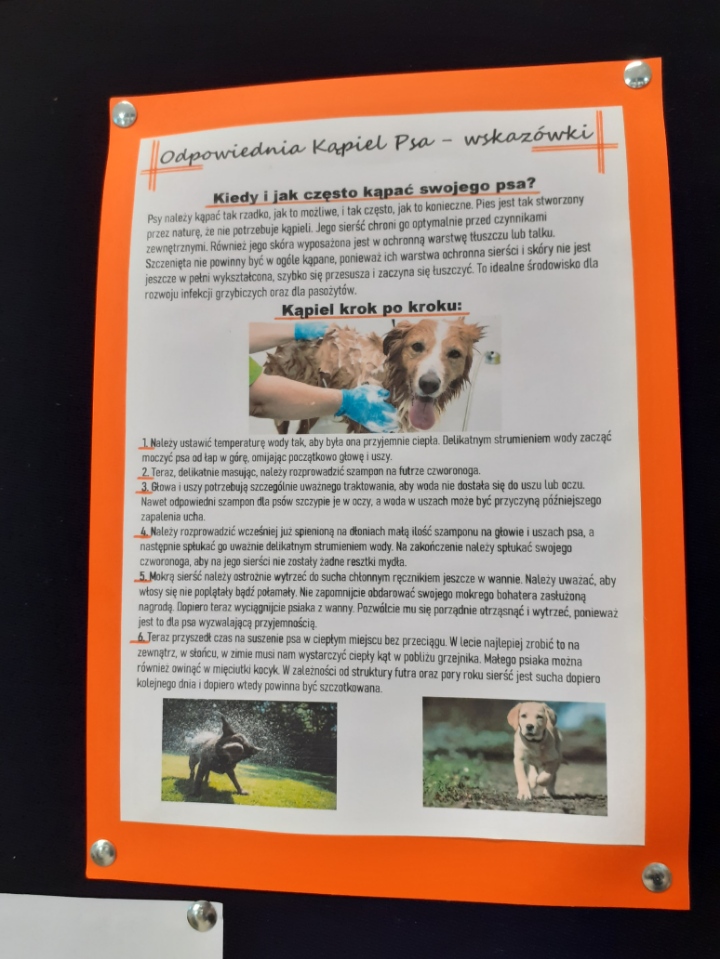 Plakat