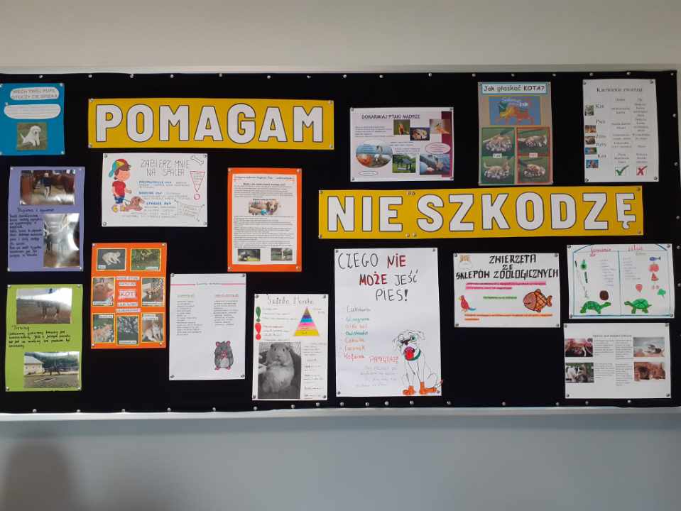gazetka ekologiczna