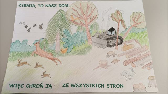 Ekologia na zajęciach