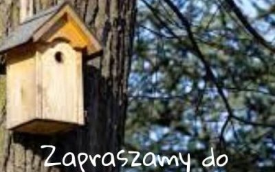 Konkurs na wykonanie budki lęgowej dla ptaków