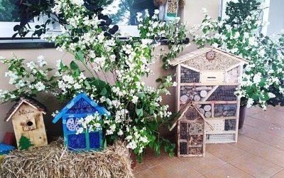 Gala Laureatów Konkursów w Powiatowym Ośrodku Doskonalenia Nauczycieli