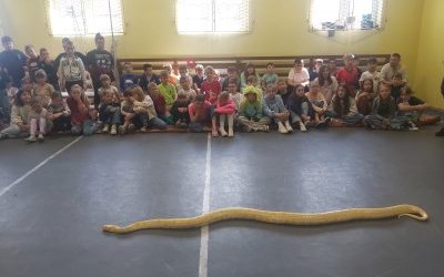 Żywa lekcja przyrody