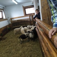 Uczniowie klas pierwszy w czasie wyjazdu w Beskidy (17)