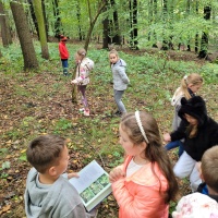 Spacery i wycieczki klas 1-3 do lasu (1)