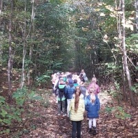 Spacery i wycieczki klas 1-3 do lasu (1)
