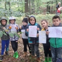 Spacery i wycieczki klas 1-3 do lasu (4)
