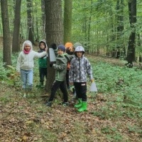 Spacery i wycieczki klas 1-3 do lasu (5)