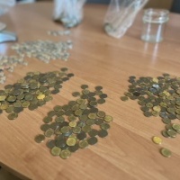 Udział w zbiórce monet (3)