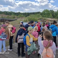 Wycieczka drugoklasistów do JuraParku w Krasiejowie (5)