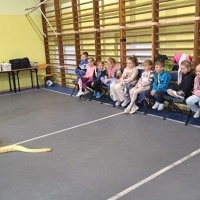 Żywa lekcja przyrody z panem Pająkiem (6)