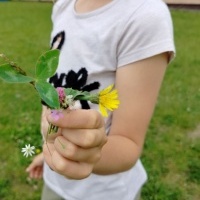 Edukacja outdoorowa na biologii (2)