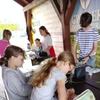 Edukacja outdoorowa na biologii (6)